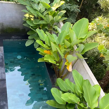 2 Bedroom Villa In Sanur